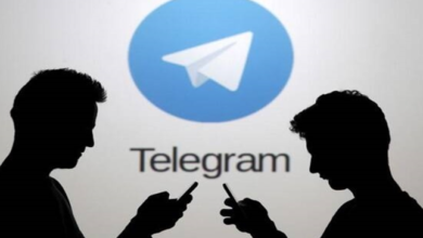 CEO Pavel Durov says Telegram was unresponsive to Brazil's Supreme Court because the court used the wrong email address, apologizes, and asks for a ruling delay