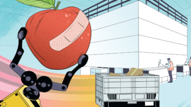 How warehouse automation startups like Accelerate360 and Attabotics, grocery services like Misfits, and delivery firms like Veho are transforming supply chains