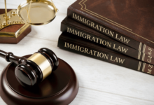 Controversy of Immigration Law
