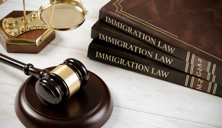 Controversy of Immigration Law