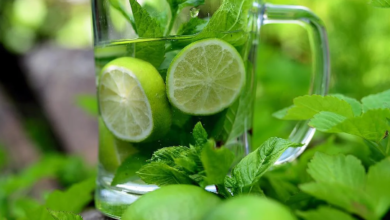 wellhealthorganic.com : how-detox-water-works-in-reducing-weight