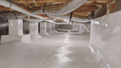 crawl space cleaning