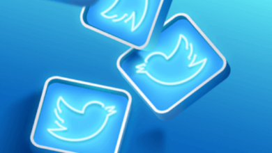 no mercy in mexico twitter video