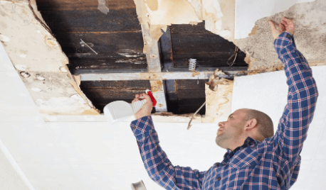 Why Mold Testing Is Important For Your Home