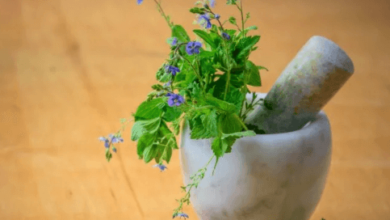 Well Health Tips in Hindi Wellhealthorganic