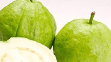 Wellhealthorganic.Com:5-Amazing-Health-Benefits-Of-Guava
