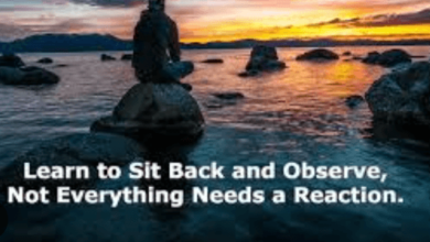 Learn to Sit Back and Observe. Not Everything Need - Tymoff