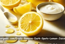 Wellhealthorganic.Com : Remove Dark Spots on Face Tang - Lemon Juice