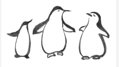 Clipart:Jekijno3fei= Penguin
