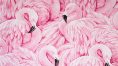 Aesthetic:S1gk-7uilyw= Fondo De Pantalla