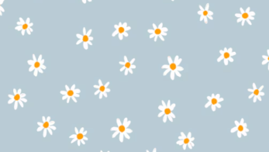 Aesthetic:Rgbsbxojpoa= Fondo De Pantalla