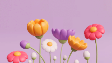 Beautiful:X7hbrubl-F0= 3d Image