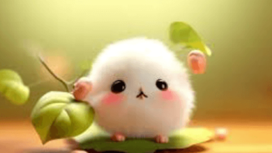 Cute:_757rbppozw= Walpaper