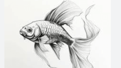 Sketch:W6pedr3herw= Drawing