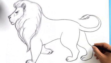 Easy:Tqg7rsmzrv8= Lion