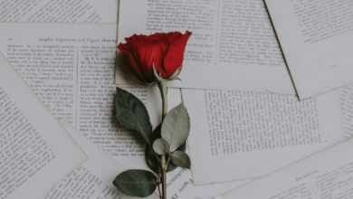 Fondos De Pantalla Para Celular Aesthetic