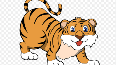 Clipart:Jmjk9np8ik4= Tiger