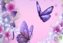Wallpaper:Acpdg-1s3ts= Butterfly Backgrounds