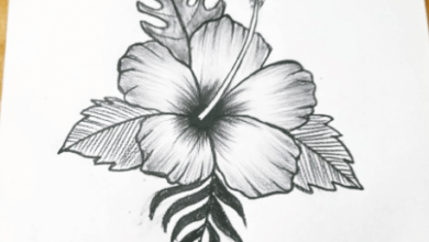 Drawing:Bclxr4vqzz0= Hibiscus