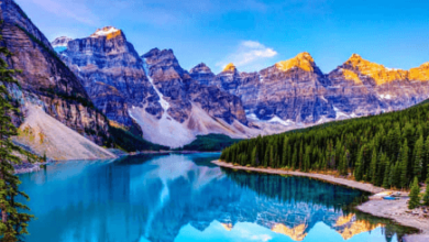 Nature:Cjuqp58spys= Backgrounds