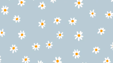 Aesthetic:Cthjqhfmsqe= Fondos De Pantalla