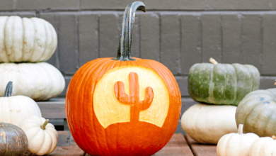 Easy:Zqo2krvwlgi= Pumpkin