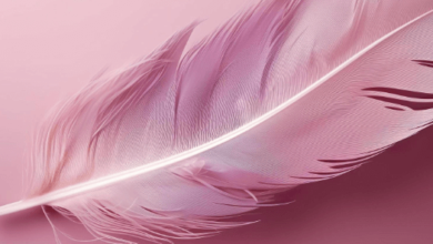 Imagenes Aesthetic Fondo De Pantalla