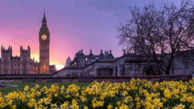 Beautiful:4bw5jfxc_Jo= England