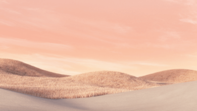 Fotos Aesthetic Para Fondos De Pantalla