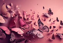 Wallpaper:Acpdg-1s3ts= Butterflies