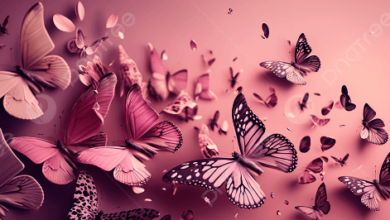 Wallpaper:Acpdg-1s3ts= Butterflies