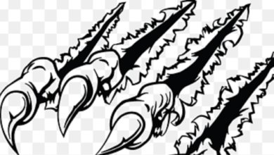 Logo:Seheg40iw3q= Stickers