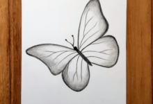 Butterfly:Q5pbirjjkfa= Drawing