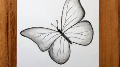 Butterfly:Q5pbirjjkfa= Drawing