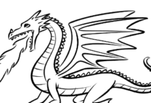 Dragon:5z_Boyjkm98= Drawings