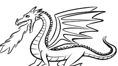 Dragon:5z_Boyjkm98= Drawings