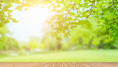 Nature:Cjuqp58spys= Background