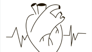 Outline:4ytcr9shpoe= Heart