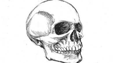 Drawing:Oldj_7nsvxk= Skul