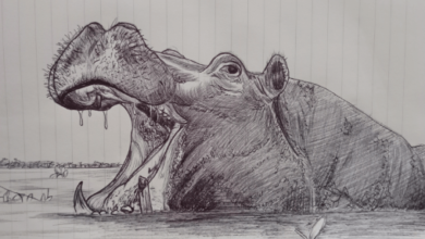 Drawing:Xs2us9na_9w= Hippopotamus