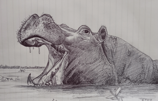 Drawing:Xs2us9na_9w= Hippopotamus