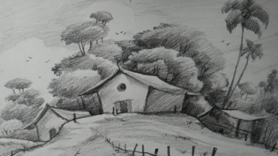 Pencil:Pntapqcqdnq= Sketches