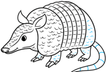 Drawing:Pjyguv9kioe= Armadillos