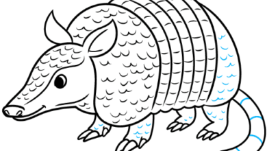 Drawing:Pjyguv9kioe= Armadillos