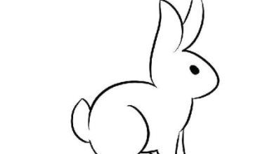 Drawing:Qckadq6trwq= Bunny