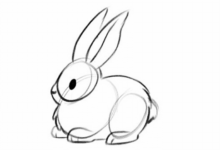 Drawing:Qckadq6trwq= Easy:Ya7ewk5rhfw= Bunny