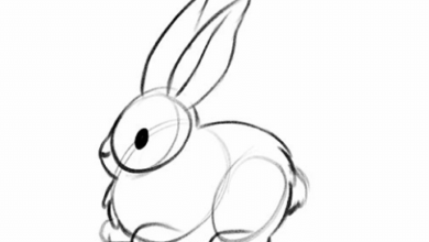 Drawing:Qckadq6trwq= Easy:Ya7ewk5rhfw= Bunny