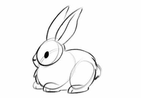 Drawing:Qckadq6trwq= Easy:Ya7ewk5rhfw= Bunny