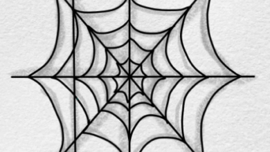 Easy:-Bnhwz2567m= Cute:9xipf0snowm= Drawings
