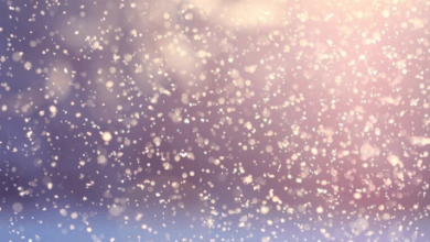 Falling:W7k2ehma-Zo= Snow